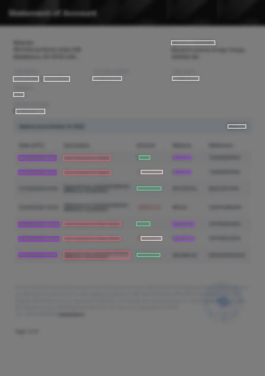Page 1 of a statement, every character blurred, with coloured boxes where Takarda found each value